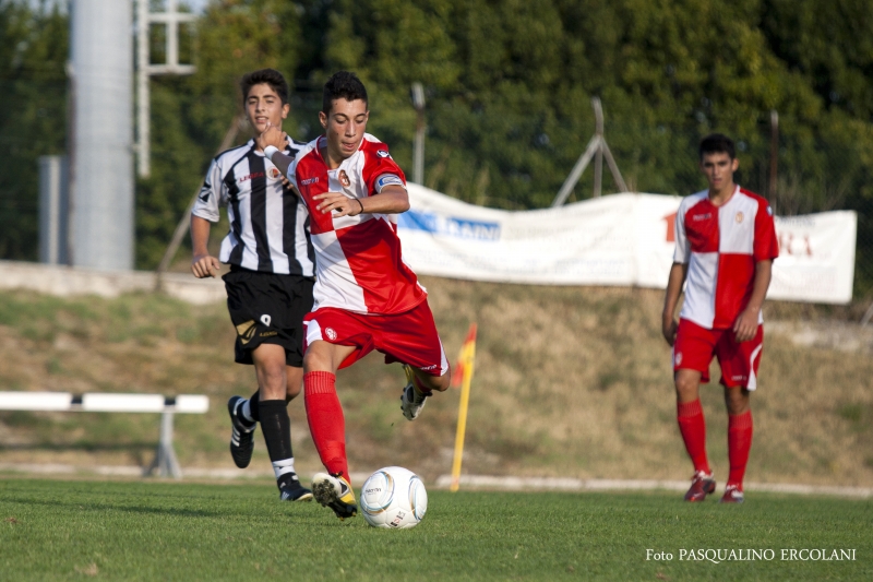finale 2011