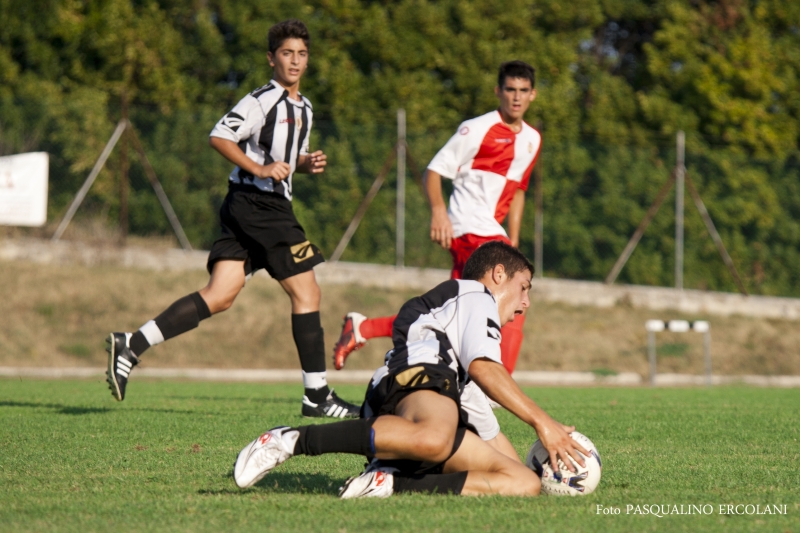 finale 2011