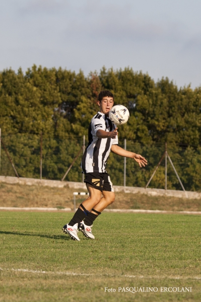 finale 2011