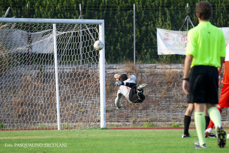 finale 2011